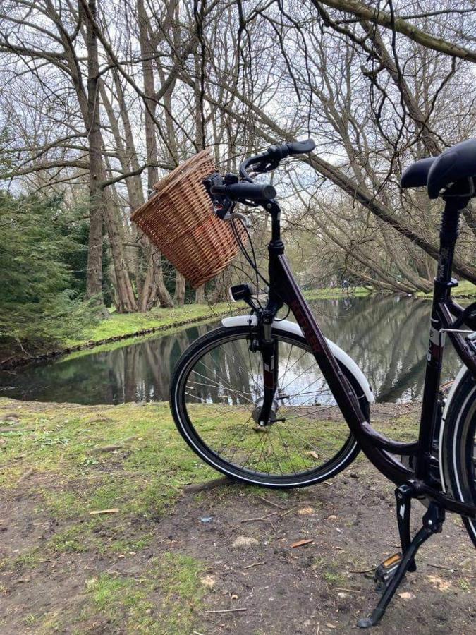 Domki Letniskowe Lesne Spa Borsk Nad Jeziorem Wdzydzkim Basen Sauna Balia Bagian luar foto