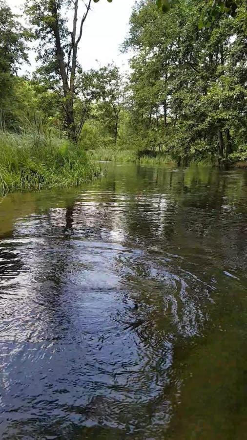 Domki Letniskowe Lesne Spa Borsk Nad Jeziorem Wdzydzkim Basen Sauna Balia Bagian luar foto